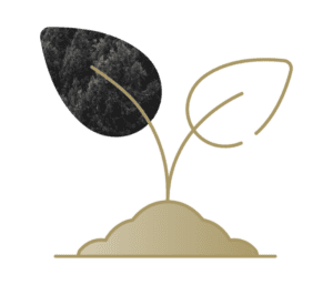 Bellwether University: Foundations